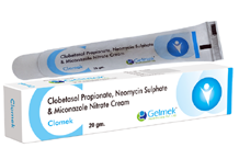 	top pharma franchise products in gujarat	Clomek Cream 20 gm.png	